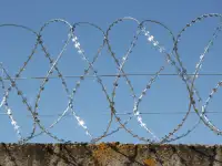 3 д Ворота, Ворота-откатные, Ворота -распашные, Автоматика, Калитка., фотография 8