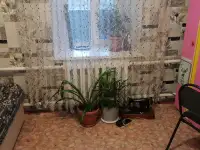 Продам дом, Астраханка улица Достык 21, фотография 7