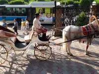 Профессиональный ведущий, тамада, фотография 5