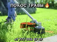 Покос травы триммером.