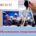 Обслуживание аквариумов морских и пресноводных, фотография 2