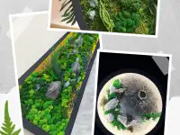 Живые картины, панно, декор из мха в Алматы.