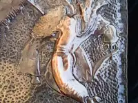 Панно-чеканку для интерьера продам. Медь. Ручная работа., фотография 2