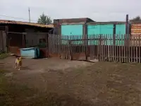 Продам дом, с. Большой Изюм, фотография 4