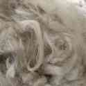 Продажа шерсть овечья, фотография 5