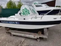 Купить лодку (катер) Wyatboat-430 DC (тримаран) в наличии