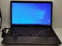 Ноутбук Samsung NP300E5Z