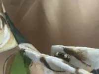 Брендовые вещи, фотография 11