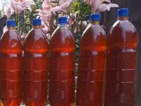 Мед пчелиный, натуральный, 2025 года., фотография 5