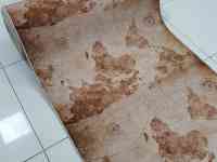 Ковровая дорожка метражом коврик ковер с Картой ширина 140 и 160 см, фотография 4