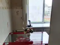 Продам двухкомнатную квартиру, Гоголя 54, фотография 3