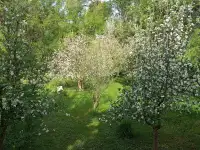 Продажа дачи, фотография 5