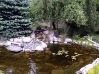 Садовник Каскелен, фотография 4