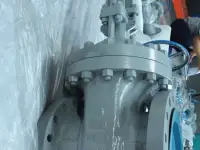 Задвижки клиновые ASME API Gate valves ASME API, фотография 4