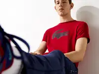 Мужская футболка lacoste с принтом regular fit