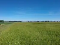 Продам участок под промбазу 1 га и второй смежный участок в 1 га