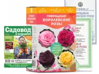 Королевские розы, фотография 3