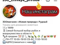 Аквариум 20л классика новый в Зоомагазине «Живая Природа», фотография 4