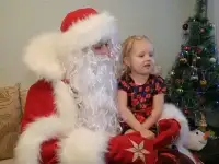 Пригласите домой Деда Мороза., фотография 2