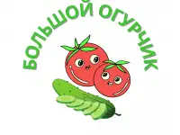 Печать/Баннеры/Дизайн/Презентации и лэндинги, фотография 4