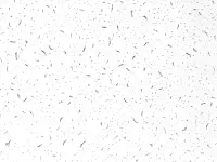 Влагостойкий подвесной потолок Армстронг, фотография 5