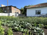 Продается дом срочно р-н автовокзал с большим гаражом, баней, участком., фотография 9