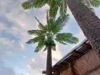 Продажа МАФ, фонтаны, вазоны, клумбы, скамейки, скульптуры садовые, скульптуры животных, фигурки, памятники, бюсты, наци, фотография 8