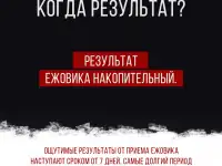 Ежовик гребенчатый, фотография 4