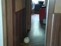 Продам 3х комнатную квартиру, Ул. Рыскулова 257кв.41, фотография 3