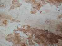 Ковровая дорожка метражом коврик ковер с Картой ширина 140 и 160 см, фотография 6