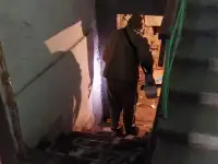Уничтожение тараканов, клопов, крыс, мышей и прочих вредителей в Усть-Каменогорске. Гарантия, лицензия, фотография 3