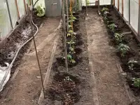 Продажа дачи, фотография 3