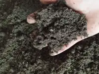 Вермикомпост - биогумус. Органическое удобрение, фотография 3