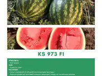 Продаем семена арбуза, фотография 12