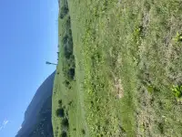 Участок 58 соток у озера колсай, Колсай