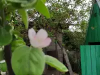 Продается дача. По КВ47 ниже поселка Кендала . 6 сот. Дом 60 кв м., фотография 3