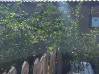 Отдельный дом, Жангельдина 29, фотография 2