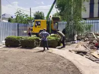 Ландшафтные работы. Озеленение., фотография 11