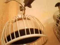 Медицинский аппарат для физиолечения., фотография 5