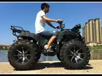 Квадроцикл 250 кубов ( Кардан ), фотография 10