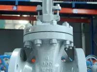 Задвижки клиновые ASME API Gate valves ASME API