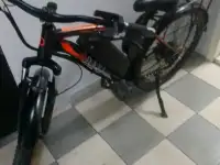 Электровелосипед Davi  новый, фотография 3