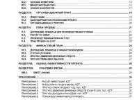 Бизнес план. Финансовая модель, Даму, ТЭО, инвестиционный проект, фотография 3