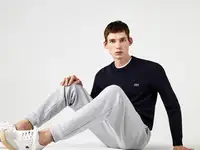 Мужской свитер lacoste