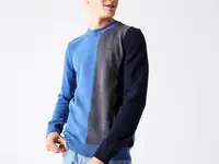 Мужской трикотажный свитер lacoste