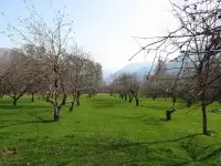 Продам участок, мкр. Акку, фотография 3