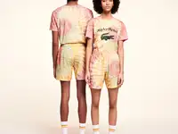 Мужские шорты lacoste