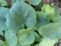 Прлдам или меняю дом в с.Мартук, фотография 12