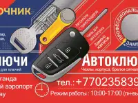 Ключ рыбка Mercedes-Benz Программирование, фотография 2