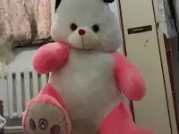 Срочно продам кролик, фотография 2